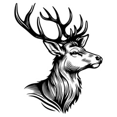 Deer Black And White Outline Vector