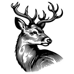 Deer Black And White Outline Vector