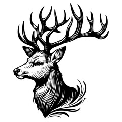 Deer Black And White Outline Vector