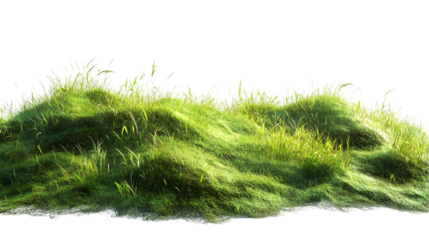 Green Grass Hill with Nature Texture.