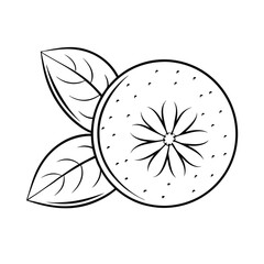 realistic orange with cloves and leaf line art vec.eps