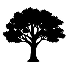 Fototapeta premium Isolated Silhouette of a Tree with Detailed Crown on White Background