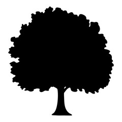 elm tree silhouettes - black elm tree, isolated transparent background