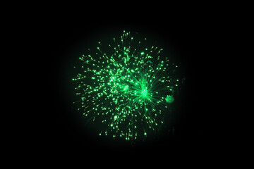 Vibrant Green Firework Burst Against Night Sky