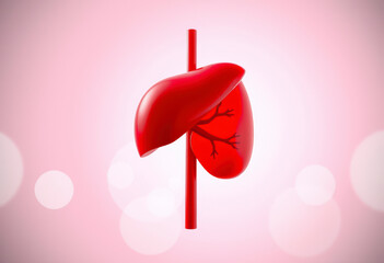 Illustration showcasing human liver anatomy, emphasizing its shape, texture, and structure for educational use.