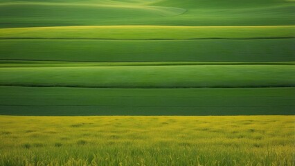 Innovative Drone Technology for Precision Herbicide Application in Agricultural Fields with Digital Analysis