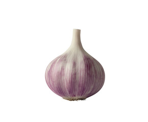 Fototapeta premium single garlic bulb is displayed in simple studio shot, evoking sense of freshness and purity. It looks delightful