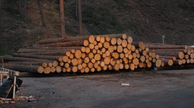 Pile of logs on a carved devastated edge. Zoom out shot