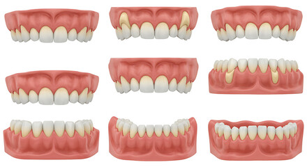 Fototapeta premium teeth and dental floss, teeth dental tooth denture mouth dentist dentures, set of tooth, set of teeth on white background