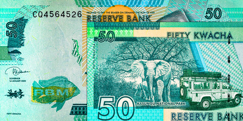Malawi 50 kwacha banknote, fragment for design. Malawi money.