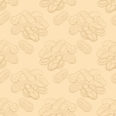 Seamless peanut pattern in vintage engraving sketch style