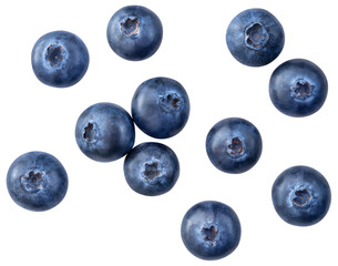 Blueberry isolated png. Blueberry top view on white or transparent background. Perfect retouched blueberry no background. Png blueberries collection. Full depth of field.