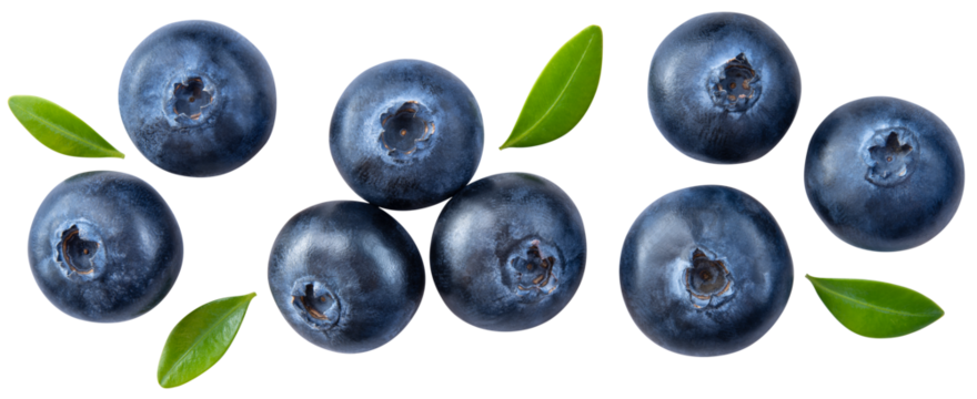 Blueberry isolated png. Blueberry with leaves top view on transparent background. Perfect retouched blueberry no background. Png blueberries collection. Full depth of field.