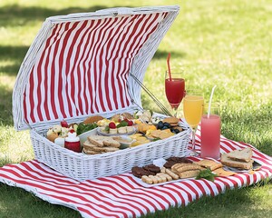Picnic basket with food and drinks on striped cloth in a grassy area