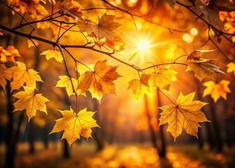 Golden Autumn Leaves Silhouette Photography Background - Nature Stock Photo