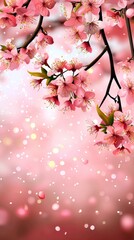 Spring blossoms in nature cherry flowers soft focus floral beauty serene environment vibrant colors
