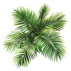 illustrations of various trees, leaves, grasses, and botanical elements on white background.