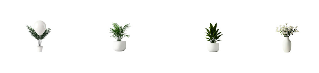 Obraz premium Stylish indoor plants in white pots for modern decor