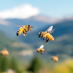 Bees Flying Mountain View