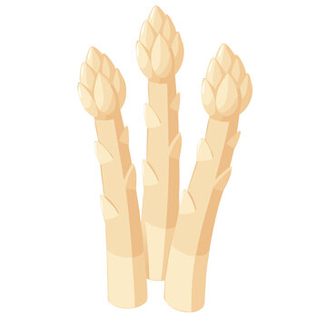 wei&szlig;er Spargel Bund