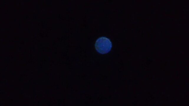a colorfull star sirius in the night