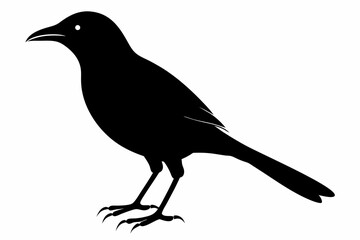 Bare-throated bellbird silhouette black vector