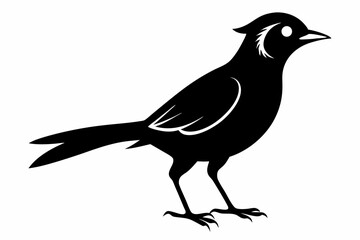 Bare-throated bellbird silhouette black vector