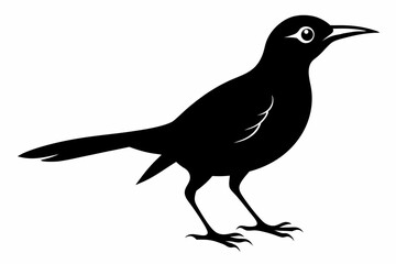 Bare-throated bellbird silhouette black vector