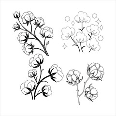 Cotton Flowers Abstract Line Art  Minimalist Botanical Contour Drawings.