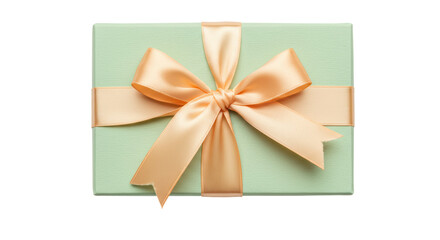 Isolated Gift Box with Ribbon