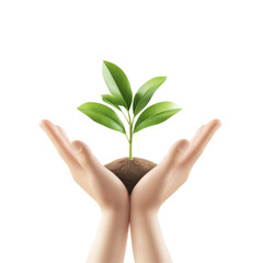 Hands gently cradling young green plant with tender leaves and soil