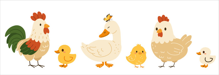 Flat style illustration of cute farm birds including rooster, hen, duck, chick, and duckling, perfect for educational materials, children’s designs, and animal-themed creative projects.