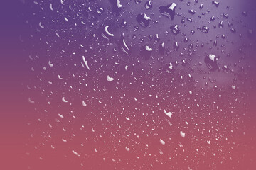 Water Droplets on Purple Background