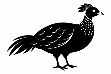 Temminck's tragopan silhouette black vector