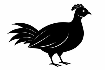 Temminck's tragopan silhouette black vector