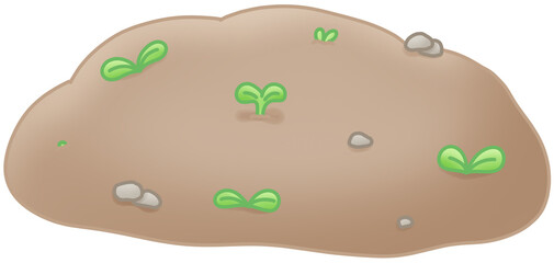 새싹 (sprout)