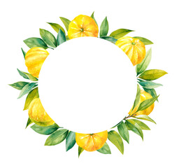 Naklejka premium Fresh ripe juicy yuzu fruits on branches with green leaves hand painted watercolor illustration wreath. Isolated on white background bright round frame for food, beauty designs, packaging, grocery
