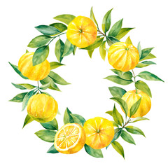 Fresh ripe juicy yuzu fruits with branches and leaves hand drawn watercolor illustration wreath. Isolated on white background bright round frame for food, beauty designs, packaging, grocery store