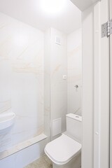 interior apartment room bathroom, sink, decorative elements, toilet