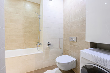 interior apartment room bathroom, sink, decorative elements, toilet