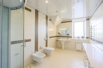 interior apartment room bathroom, sink, decorative elements, toilet