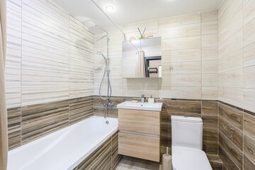 interior apartment room bathroom, sink, decorative elements, toilet