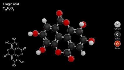 Ellagic Acid molecule. Molecular structure. Formula: C14H6O8. Chemical model: Ball and stick. Black background. 3D illustration.