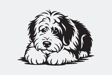fluffy dog illustration vector