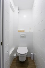 interior apartment room bathroom, sink, decorative elements, toilet