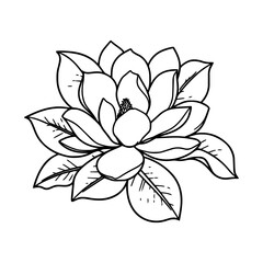 Hand-drawn magnolia outline with intricate floral details. A perfect black-and-white floral design for adult coloring books, botanical illustration, art therapy, wedding invitations, and decoration.