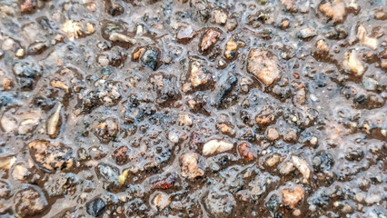 Wet rough asphalt surface texture with small colorful stones and gravel covered in fresh rainwater during rainy weather