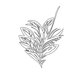 Leafy Outline Botanical Sketch Illustration Art