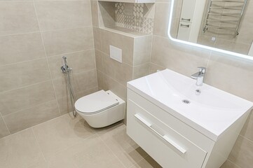 interior apartment room bathroom, sink, decorative elements, toilet