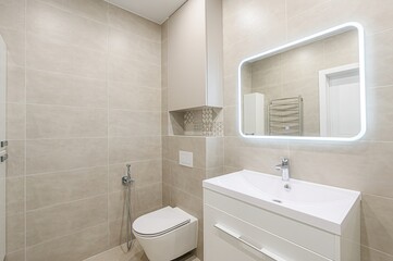 interior apartment room bathroom, sink, decorative elements, toilet
